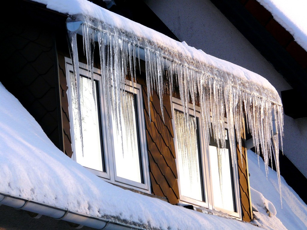 calderas de biomasa calor ecologico